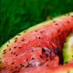 Apple cider vinegar trap to get rid of fruit flies in mason jar with tiny holes in lid