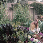 Person growing vegetables in backyard garden with raised beds and container plants showing tomatoes and lettuce