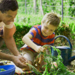 Fresh vegetables growing in backyard garden with tomatoes lettuce and herbs in raised beds