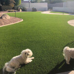 artificial turf for backyard installation showing synthetic grass with infill materials and proper drainage system