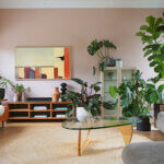 Top indoor plants for home including snake plant pothos and spider plant arranged in modern living room